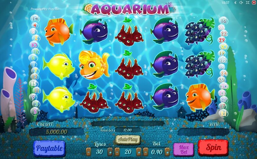 Aquarium-slot